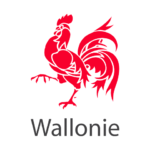 Conception d’outil de mesure des retombées économiques - Commissariat Général au Tourisme de Wallonie