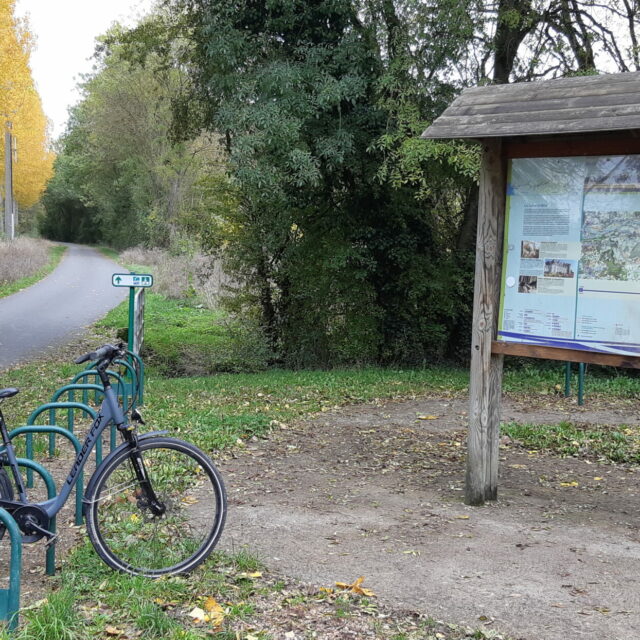 Loire à vélo RIS cycliste